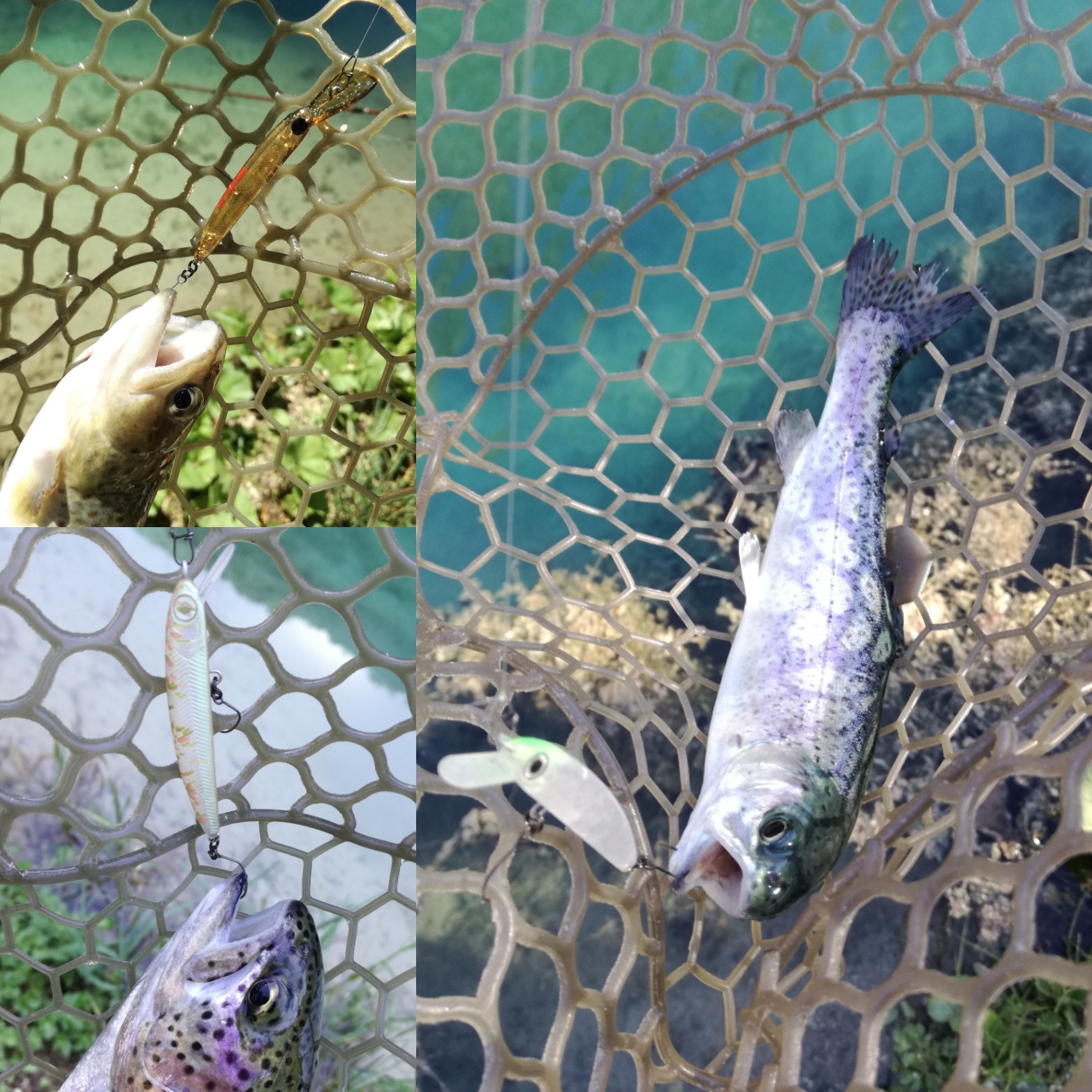 Il trout area in pillole: parte 4, la pesca con i jerk - Planetspin