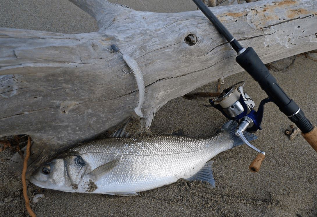 2 Pezzi Esca Bionica Esche Artificiali Esche da Pesca Artificiali Esche Luccio con Ai da Pesca