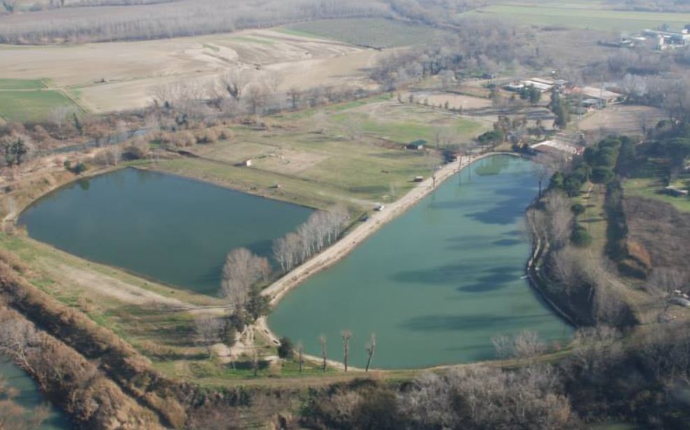 Pesci scomparsi dal laghetto - Chieti - Il Centro