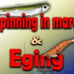 corso pesca